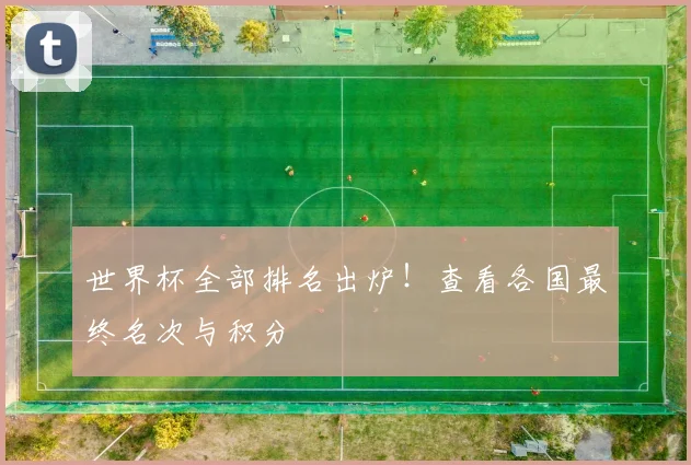 世界杯全部排名出炉！查看各国最终名次与积分