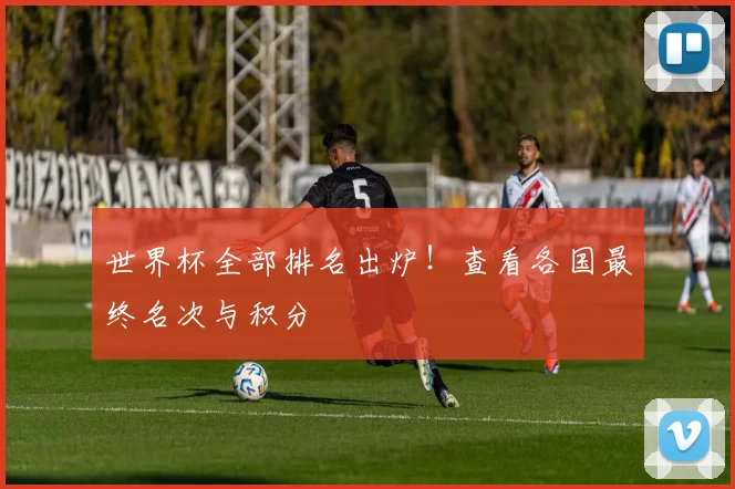 世界杯全部排名出炉！查看各国最终名次与积分