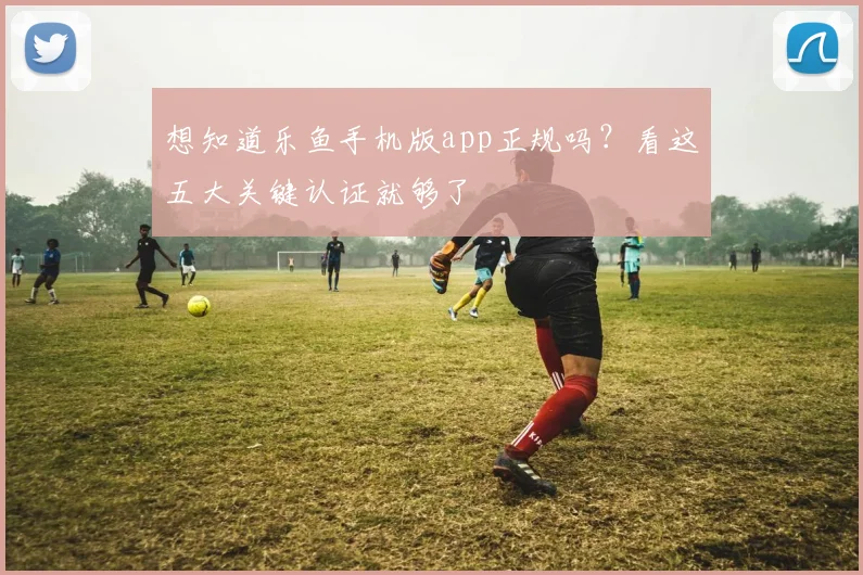 想知道乐鱼手机版app正规吗?看这五大关键认证就够了