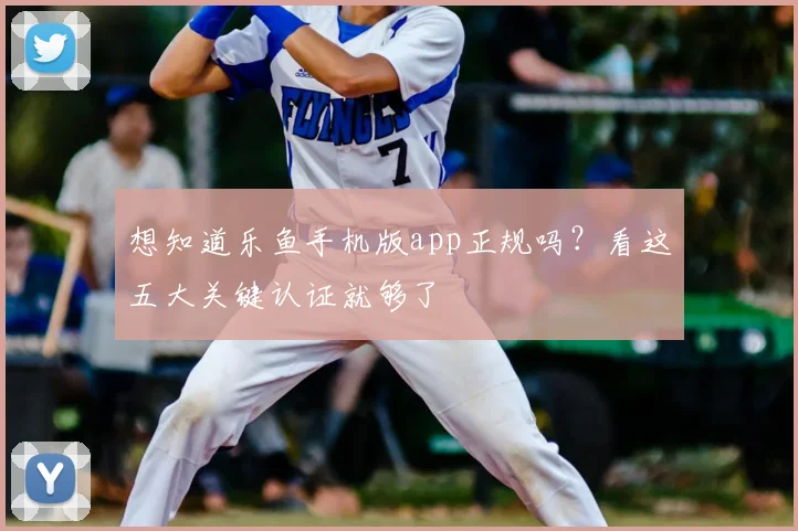 想知道乐鱼手机版app正规吗?看这五大关键认证就够了