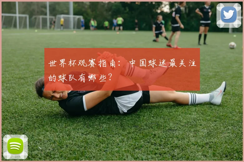 世界杯观赛指南：中国球迷最关注的球队有哪些？